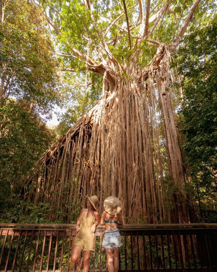 Coral Tree Inn Cairns Exterior photo